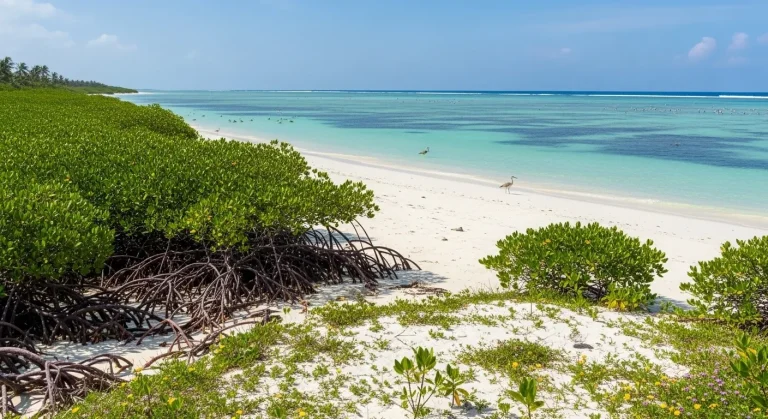 Pemba Island, le dernier refuge swahili que 700 000 visiteurs ignorent