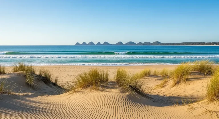 Oubliez juillet : Lacanau-Océan reste sauvage en décembre à 70 € la nuit