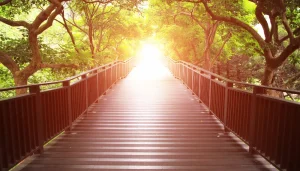 En 2026, prenez conscience de votre chemin de vie grâce à cette formation aux Annales Akashiques !